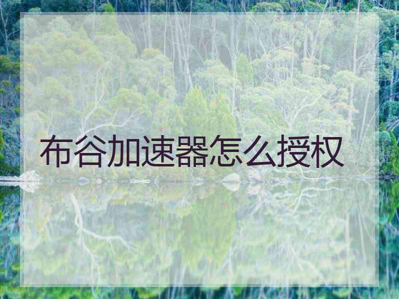 布谷加速器怎么授权